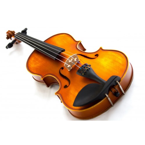 STEINNER STRAUSS 4/4 VIOLIN