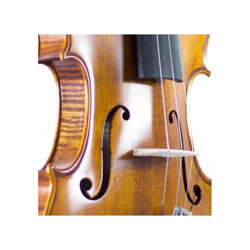 Violin Stradella 1/2