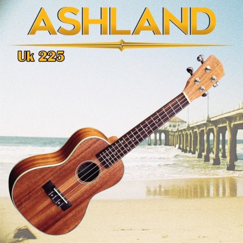 UKE225